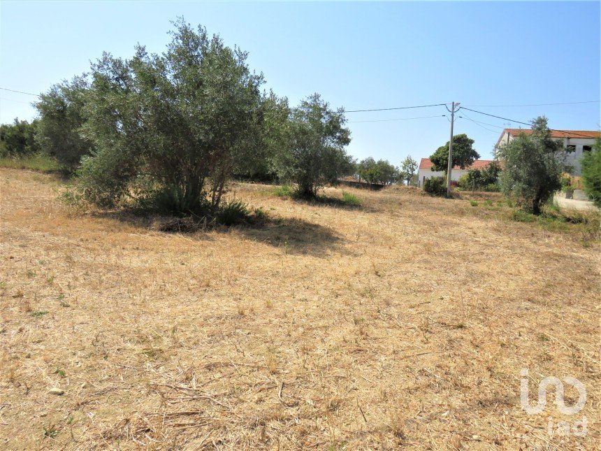 Land in Madalena e Beselga of 13,720 m²