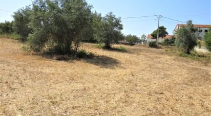 Terrain à Madalena e Beselga de 13 720 m²