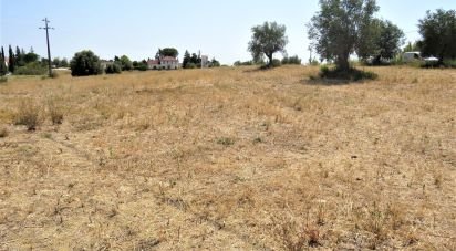 Terrain à Madalena e Beselga de 13 720 m²