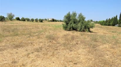 Terrain à Madalena e Beselga de 13 720 m²