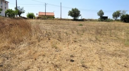 Terrain à Madalena e Beselga de 13 720 m²