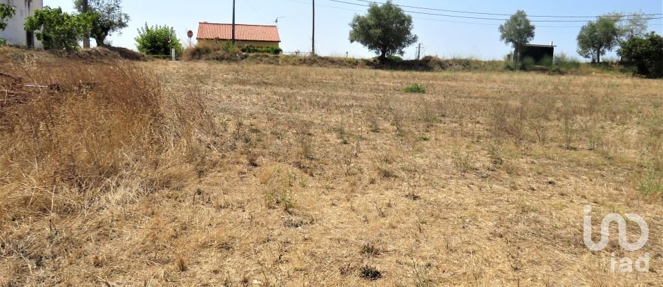 Land in Madalena e Beselga of 13,720 m²