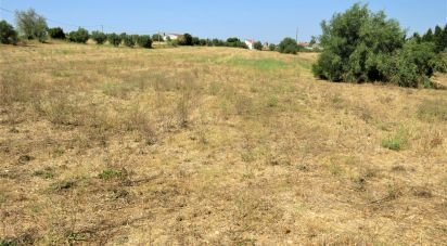 Terrain à Madalena e Beselga de 13 720 m²