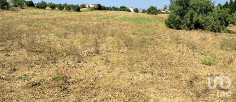 Land in Madalena e Beselga of 13,720 m²