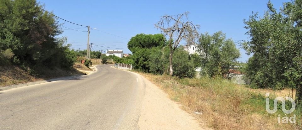 Land in Madalena e Beselga of 13,720 m²