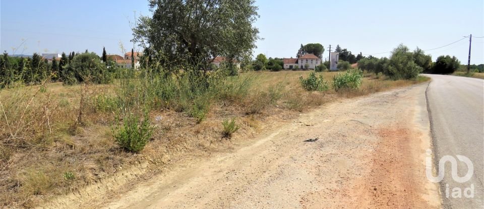 Land in Madalena e Beselga of 13,720 m²