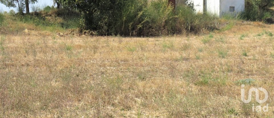 Land in Madalena e Beselga of 13,720 m²