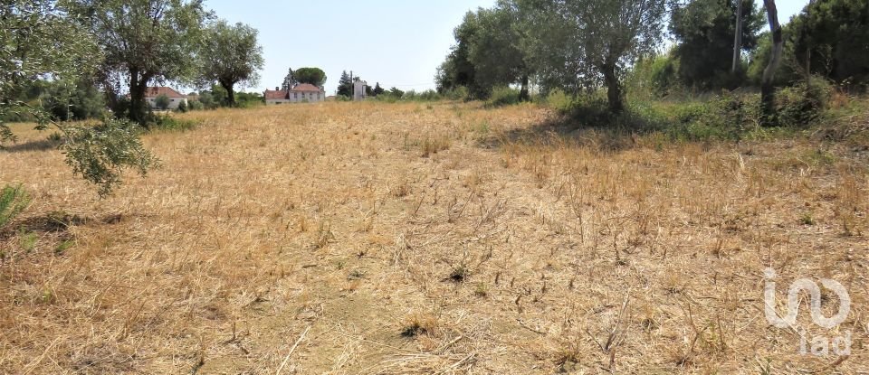 Land in Madalena e Beselga of 13,720 m²