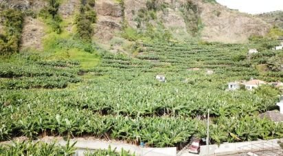 Land in Ponta do Sol of 3,990 m²