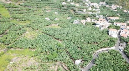 Land in Ponta do Sol of 3,990 m²