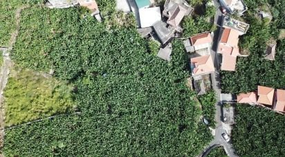 Land in Ponta do Sol of 3,990 m²