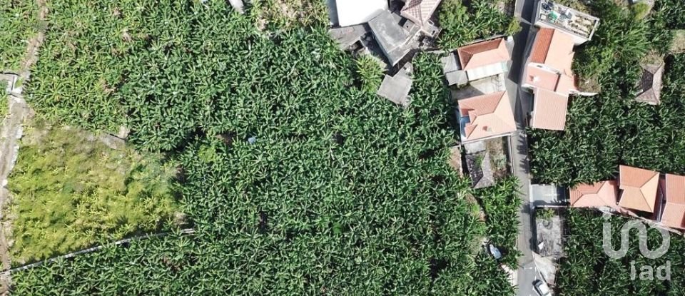 Terreno em Ponta do Sol de 3 990 m²