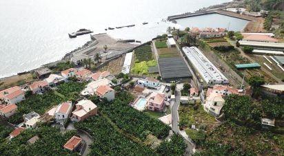 Land in Ponta do Sol of 3,990 m²