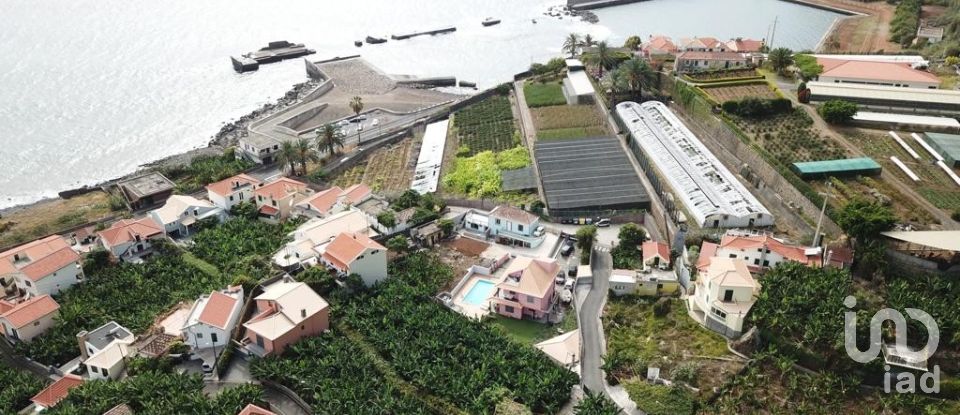 Terreno em Ponta do Sol de 3 990 m²