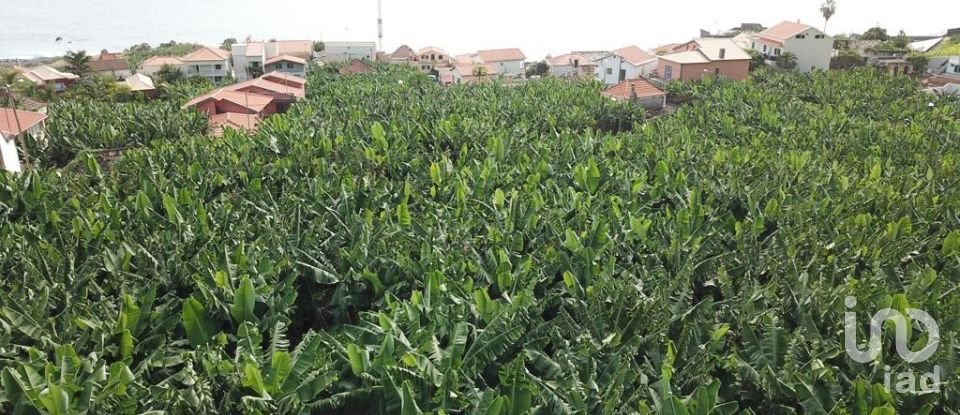 Terreno em Ponta do Sol de 3 990 m²