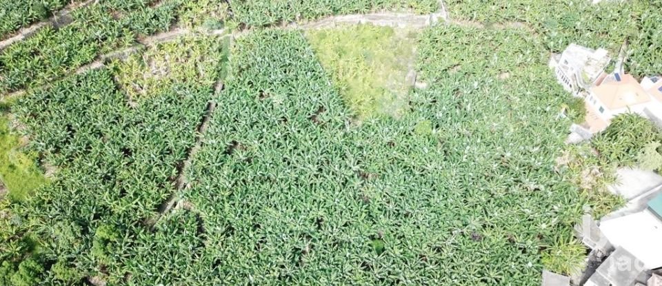 Terreno em Ponta do Sol de 3 990 m²