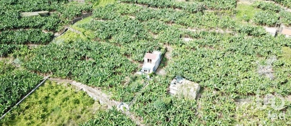 Terreno em Ponta do Sol de 3 990 m²