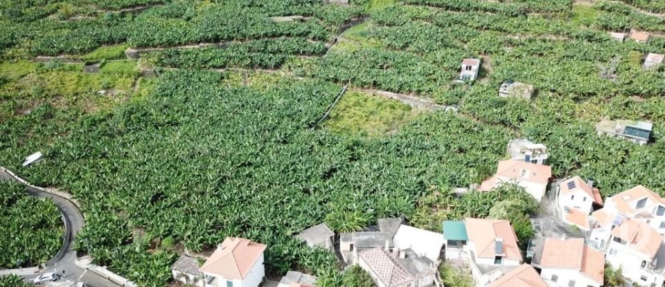 Terreno em Ponta do Sol de 3 990 m²