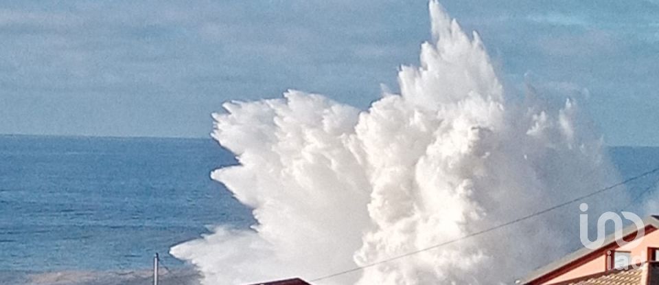 Terreno em Ponta do Sol de 3 990 m²