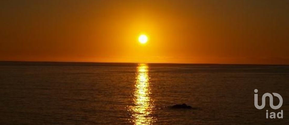 Terreno em Ponta do Sol de 3 990 m²