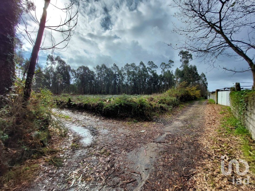 Land in Vila de Punhe of 4,388 m²