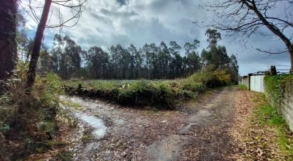 Terrain à Vila de Punhe de 4 388 m²