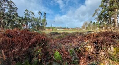 Terrain à Vila de Punhe de 4 388 m²