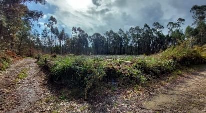 Terrain à Vila de Punhe de 4 388 m²