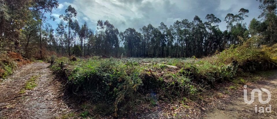 Land in Vila de Punhe of 4,388 m²