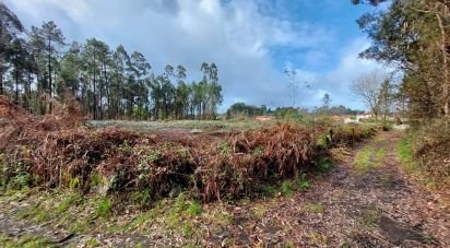 Terrain à Vila de Punhe de 4 388 m²