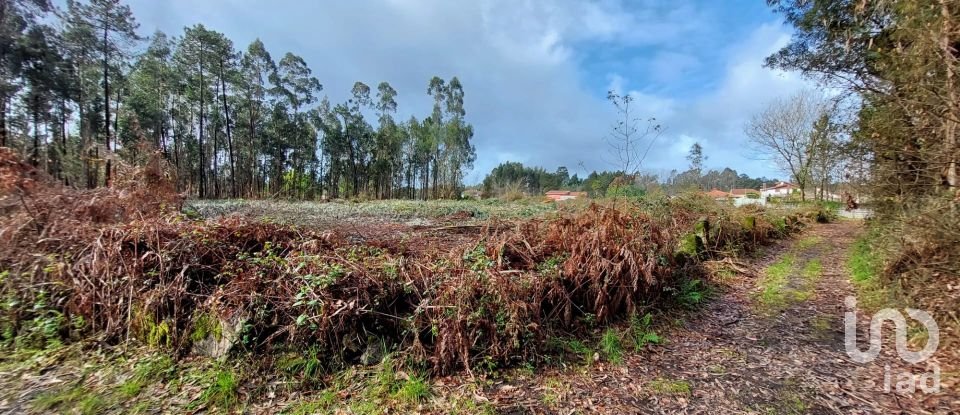 Land in Vila de Punhe of 4,388 m²