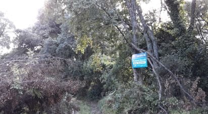 Terrain agricole à São Pedro Fins de 4 310 m²