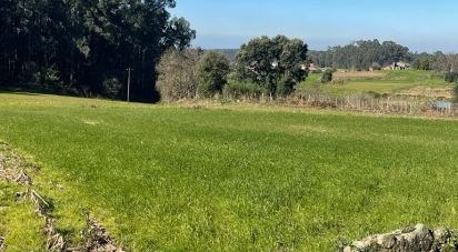 Terrain à São Martinho da Gândara de 1 770 m²