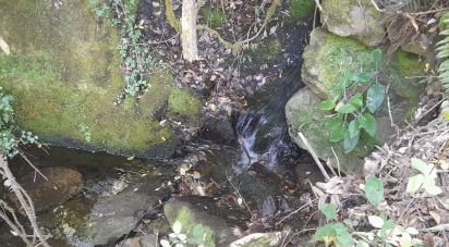 Terrain à Pedrógão Grande de 3 382 m²