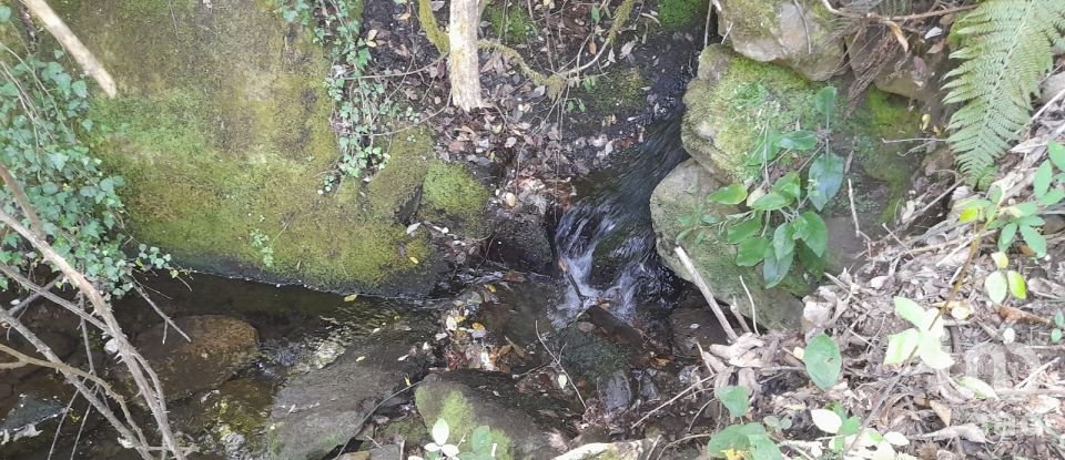 Terreno em Pedrógão Grande de 3 382 m²