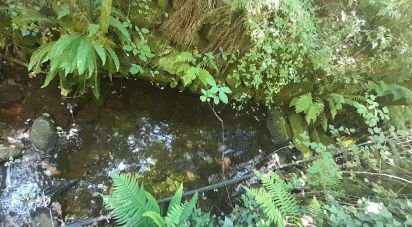 Terrain à Pedrógão Grande de 3 382 m²