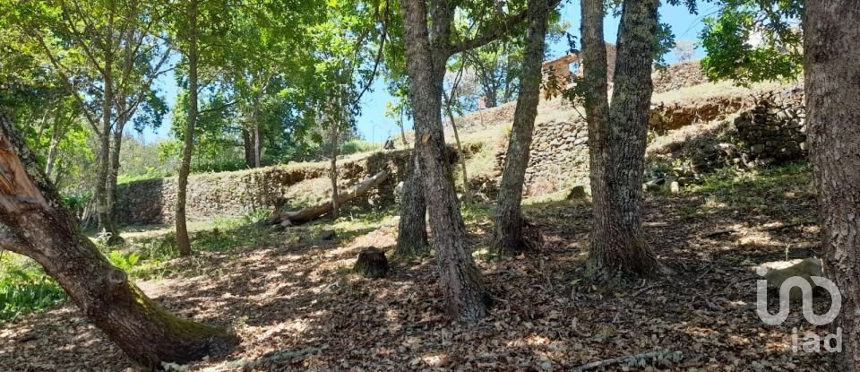 Terreno em Pedrógão Grande de 3 382 m²