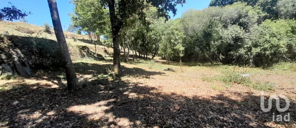 Terreno em Pedrógão Grande de 3 382 m²