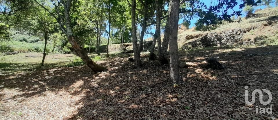 Terreno em Pedrógão Grande de 3 382 m²