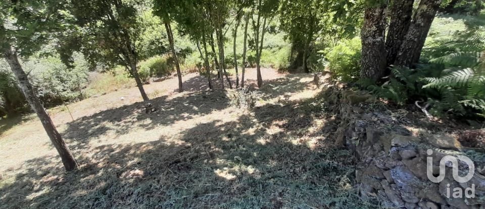 Terreno em Pedrógão Grande de 3 382 m²