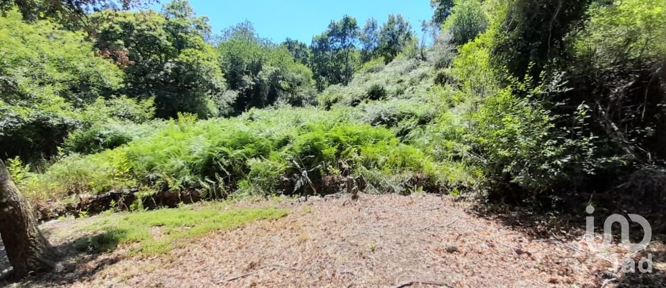 Terreno em Pedrógão Grande de 3 382 m²