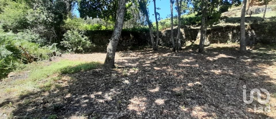 Terreno em Pedrógão Grande de 3 382 m²