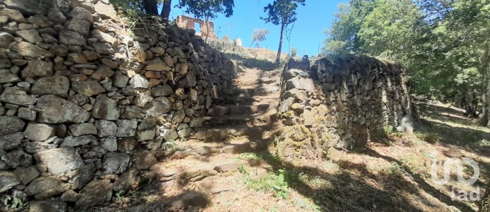 Terreno em Pedrógão Grande de 3 382 m²