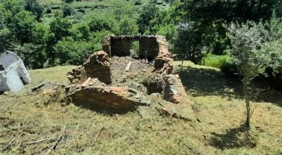 Terrain à Pedrógão Grande de 3 382 m²