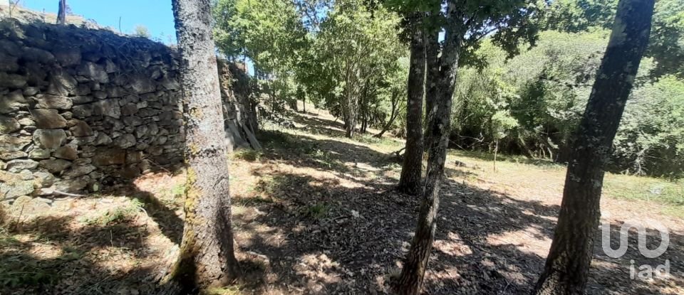 Terreno em Pedrógão Grande de 3 382 m²