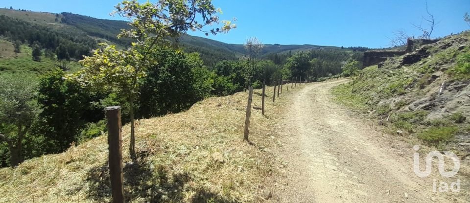 Terreno em Pedrógão Grande de 3 382 m²