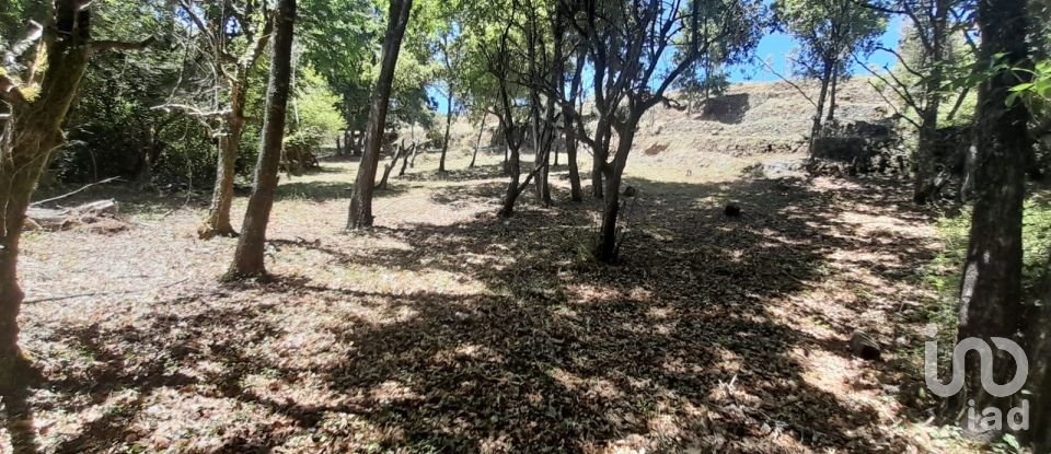 Terreno em Pedrógão Grande de 3 382 m²