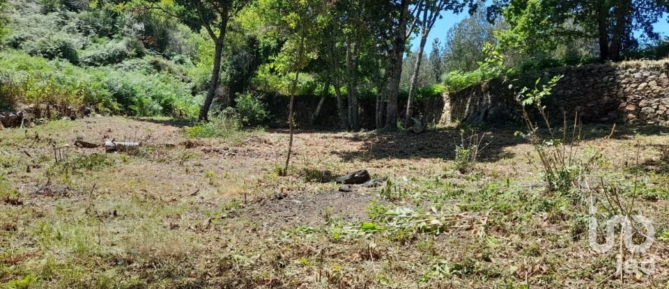 Terreno em Pedrógão Grande de 3 382 m²