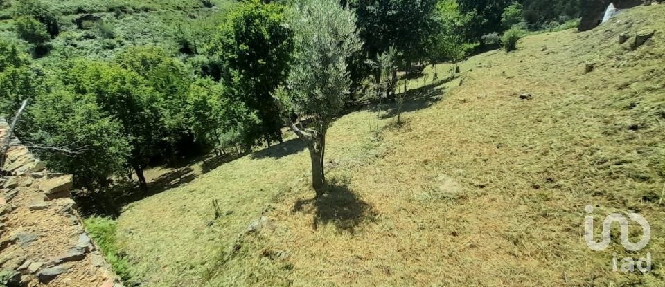 Terreno em Pedrógão Grande de 3 382 m²