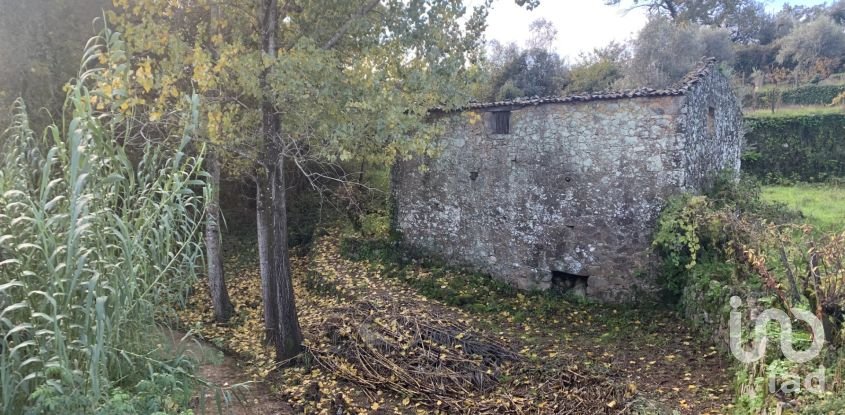 Gîte T2 à Figueiró dos Vinhos e Bairradas de 70 m²